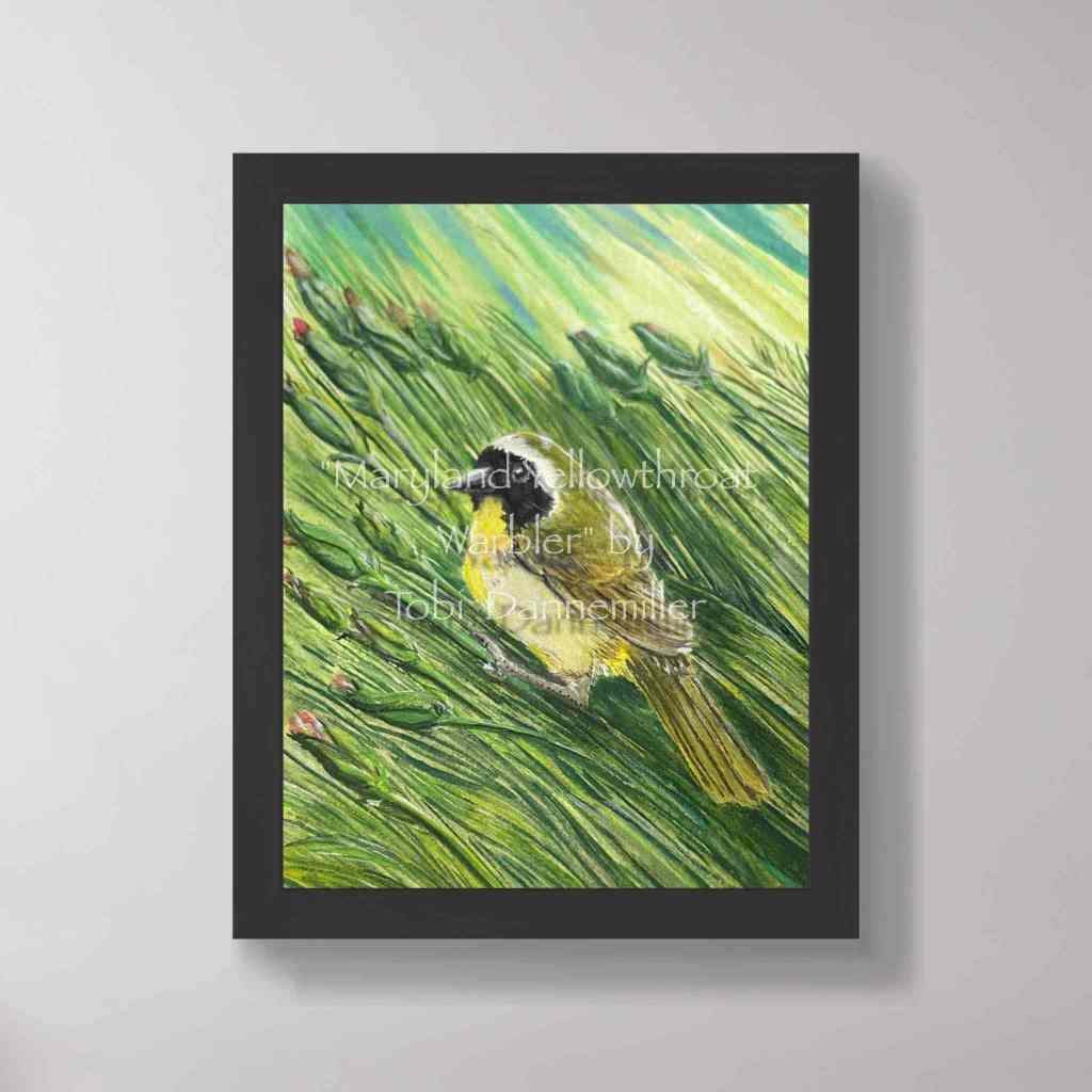 “Maryland Yellowthroat Warbler”