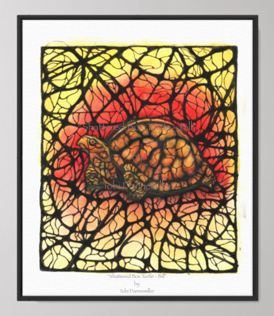 “Shattered Box Turtle – Bill”